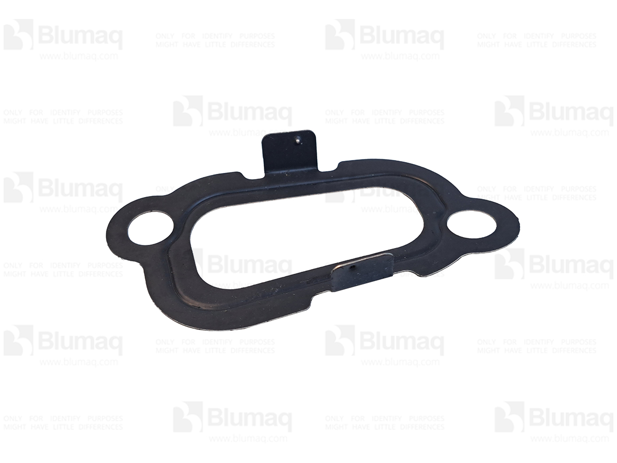 225-8281 Gasket for BLUMAQ