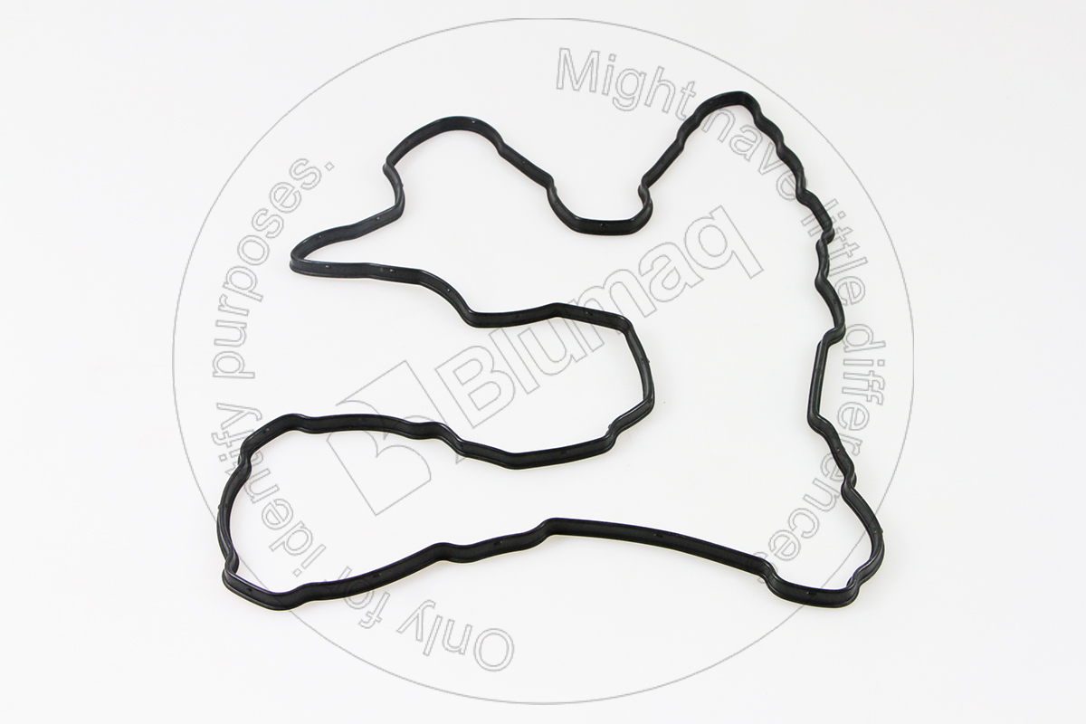 294-1706 Gasket for BLUMAQ