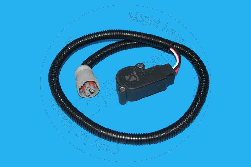 901.00256 Sensor for BLUMAQ