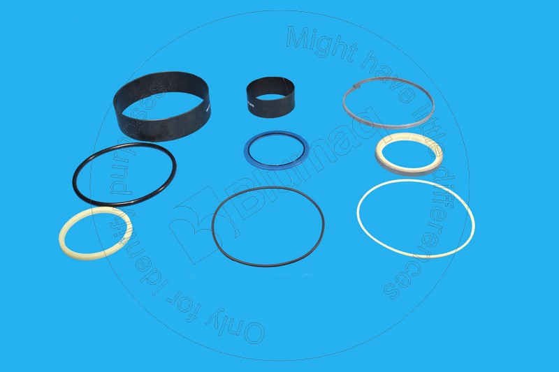 6417112 Steering Cyl. Seal Kit for BLUMAQ