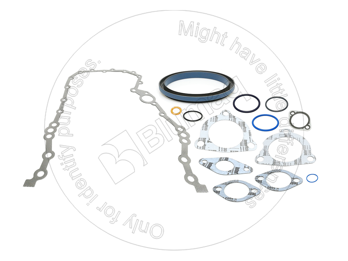 100-2938 Gasket Kit Rs