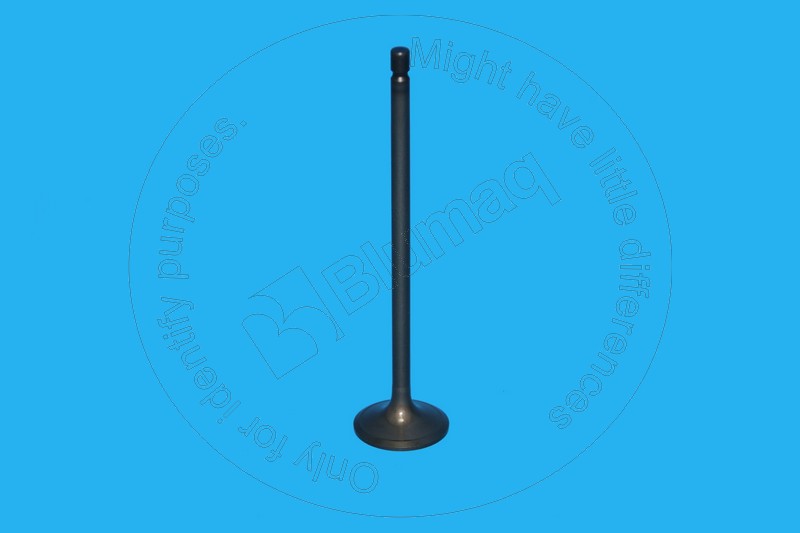 294-1684 Intake Valve for BLUMAQ