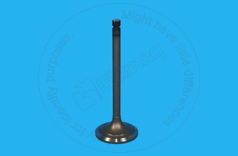 233-5469 Intake Valve for BLUMAQ