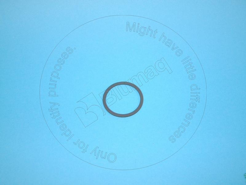 038.386 Seal for BLUMAQ