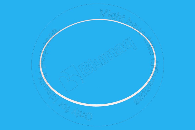 8P-8744 Seal for BLUMAQ