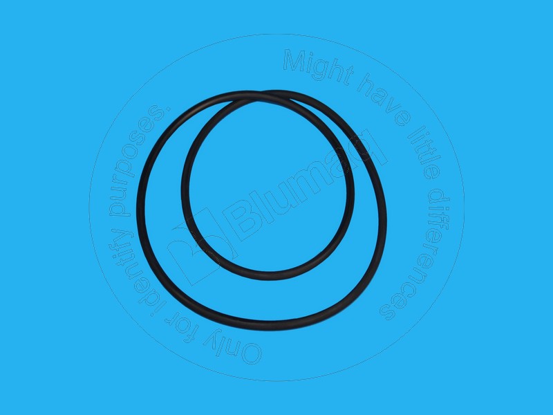 095-1694 Seal O-ring for BLUMAQ