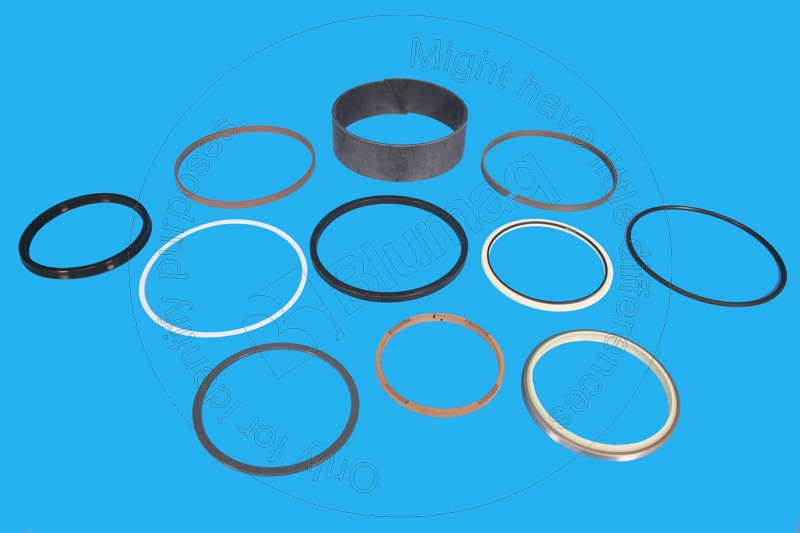 2003499 Seal Kit for CATERPILLAR