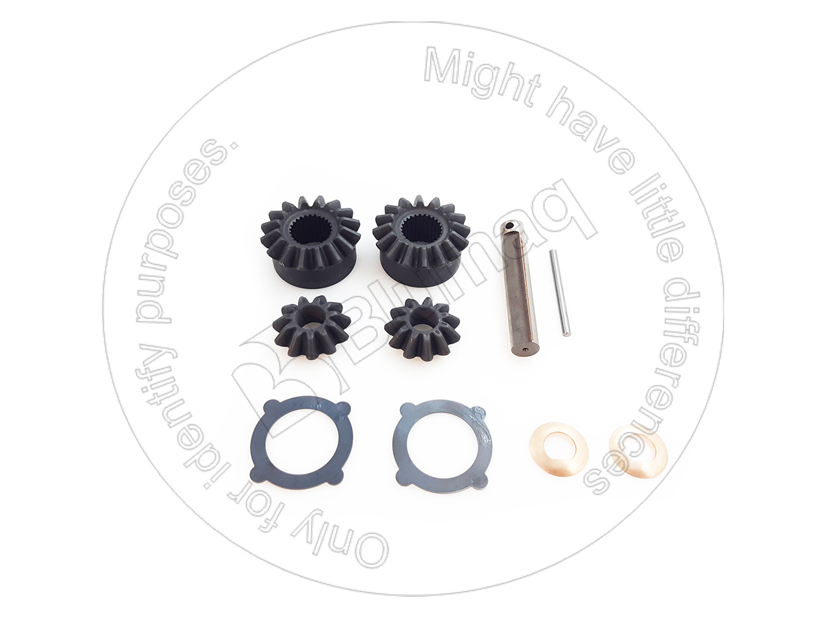 216-8700 Diff. Gear Set for BLUMAQ