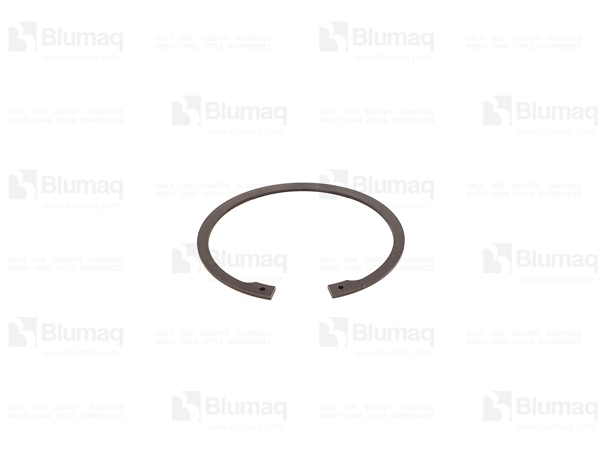 CS153317480 Seal Ring