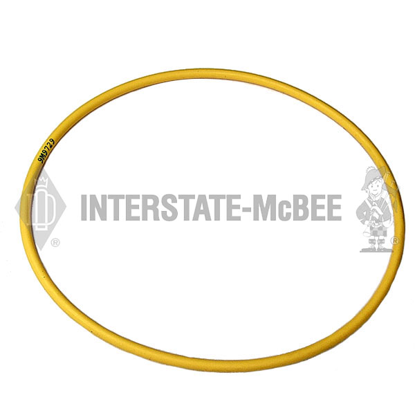 M-9M9729 Seal - Fuel Pump Housing for INTERSTATE MCBEE