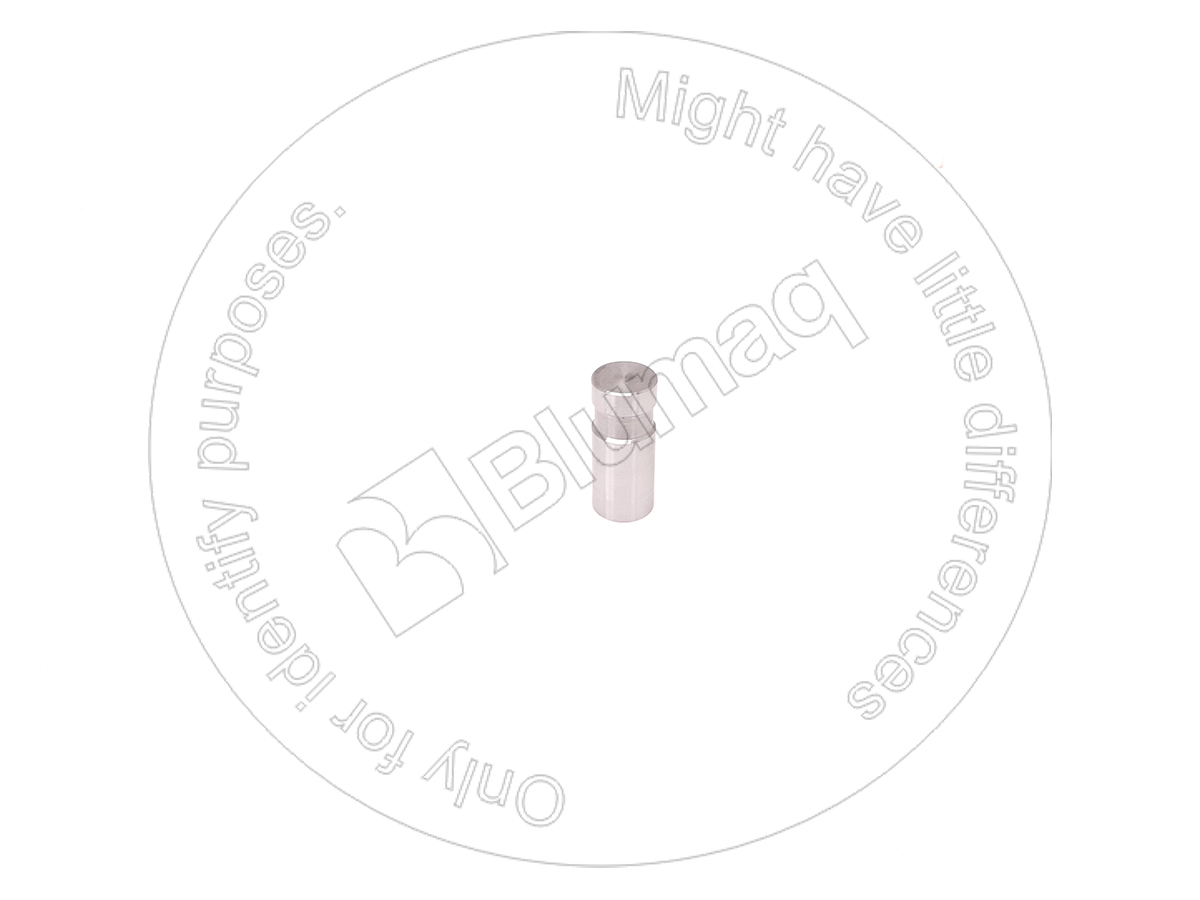 CSS301669 BLUMAQ Pin
