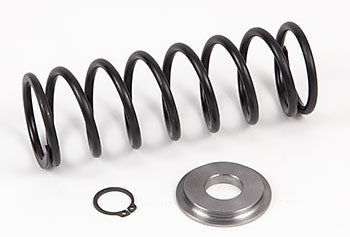 65245-KIT Spring, Cap And Snap Ring Kit
