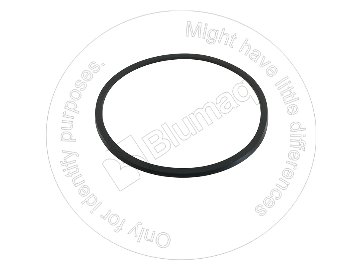 CS76086258 Seal