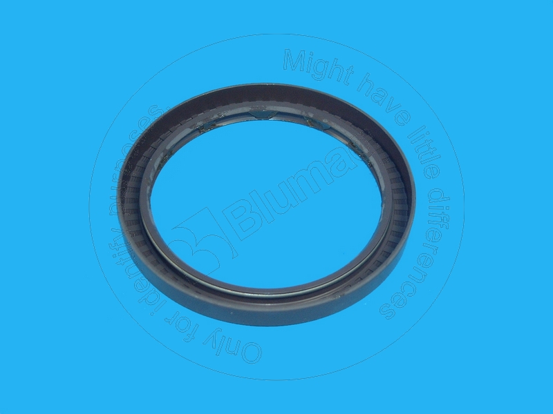 VO002291686 Seal for BLUMAQ