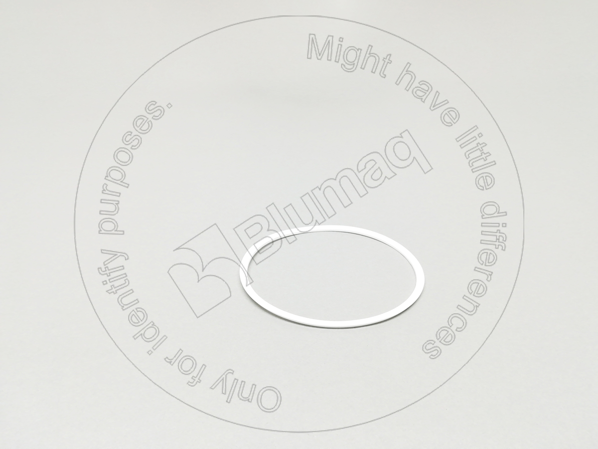 9S-6913 Segment for BLUMAQ