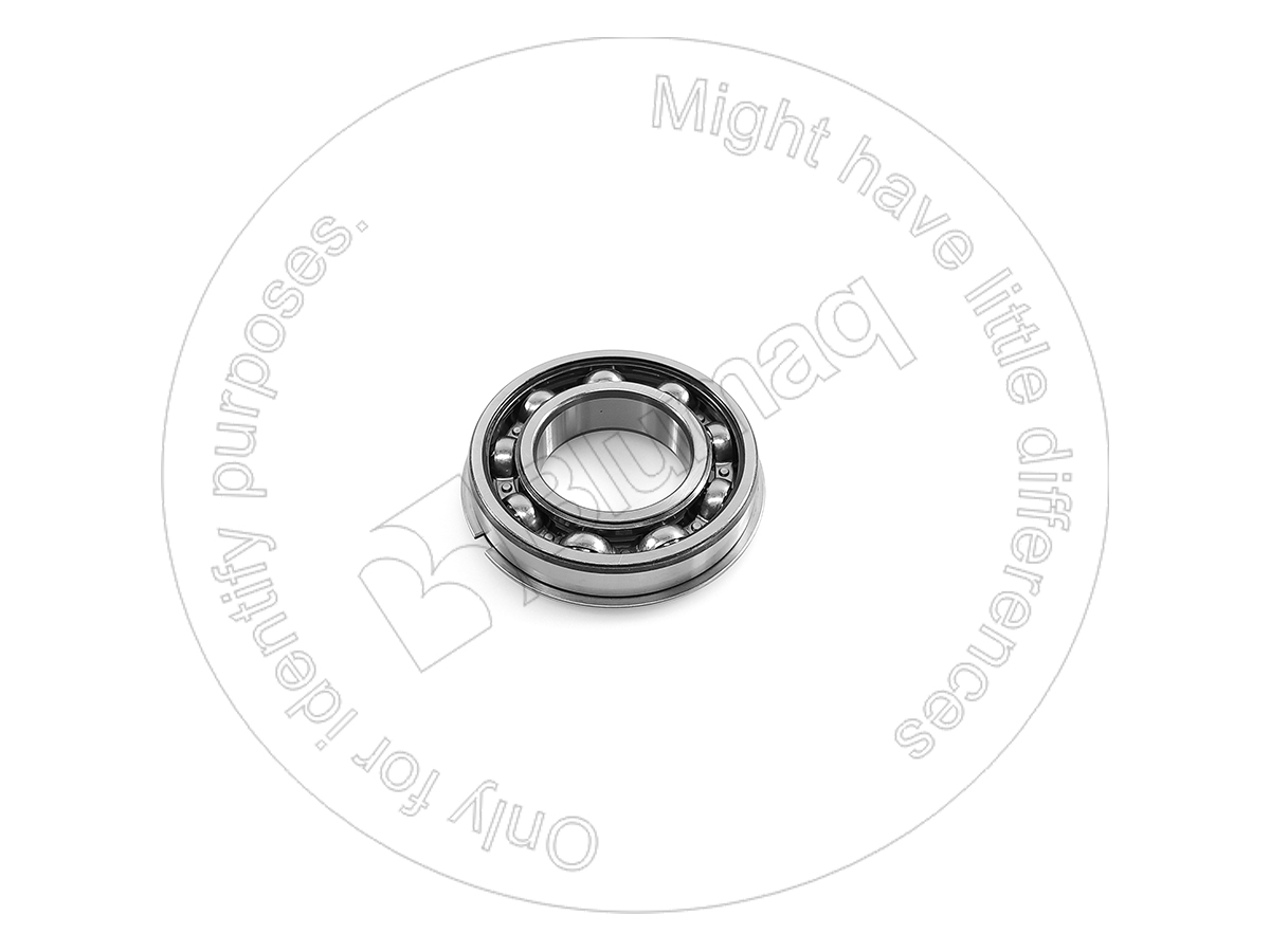 CS181128A1 Bearing