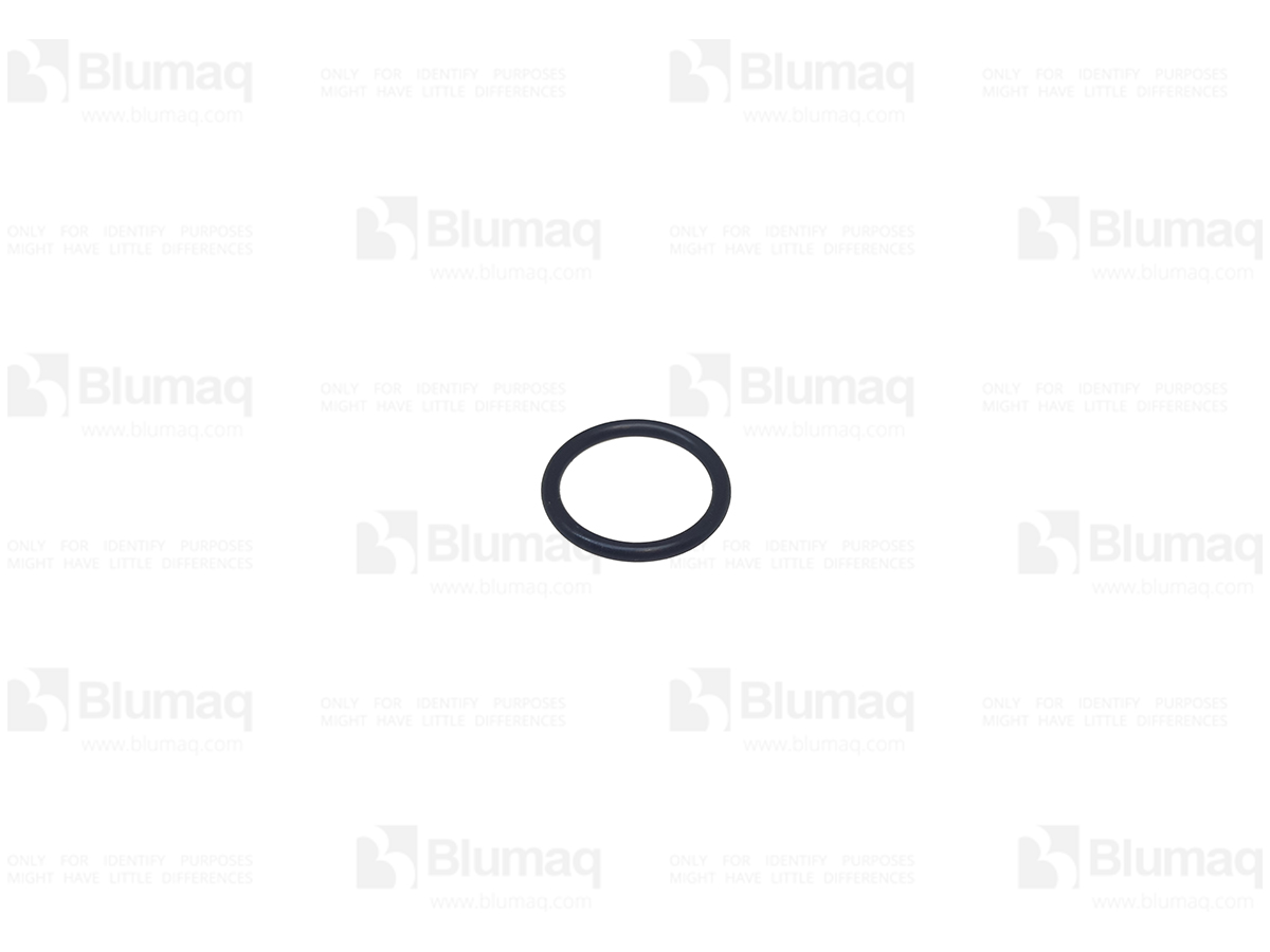 095-1530 Seal O-ring for BLUMAQ