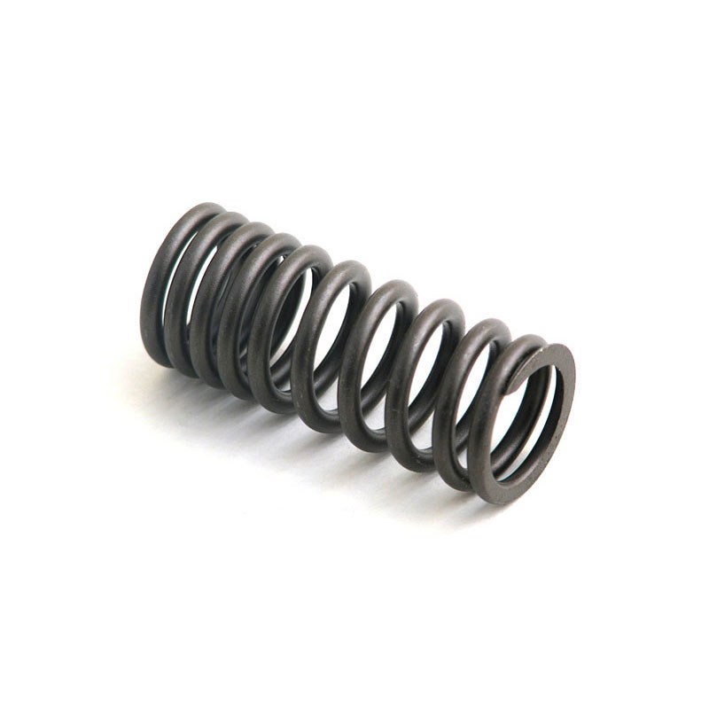 7406723 Valve Spring for RELIANCE POWER