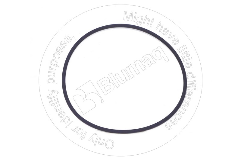 900.01830 Seal O-ring for BLUMAQ