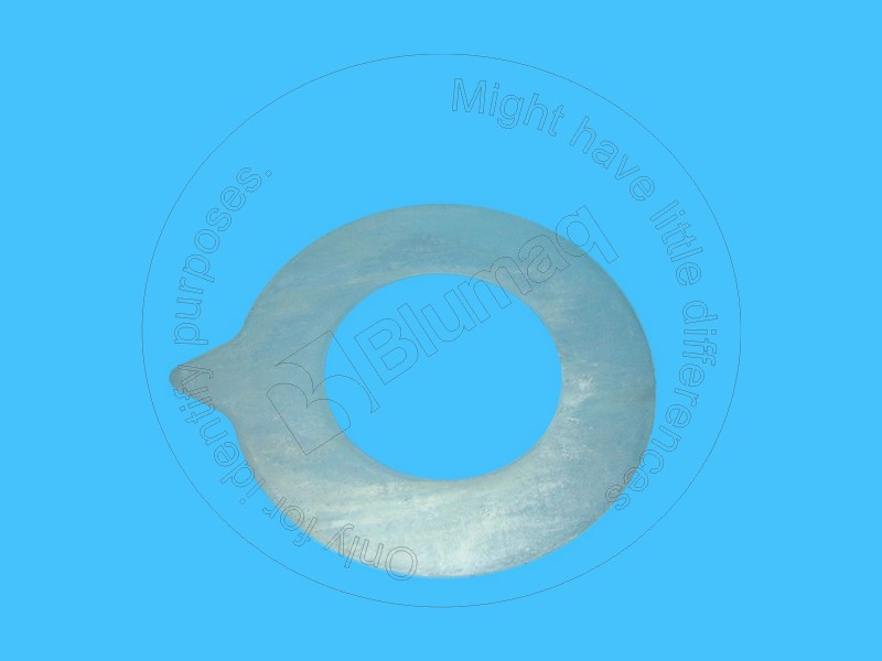 147-3957 Shim for BLUMAQ