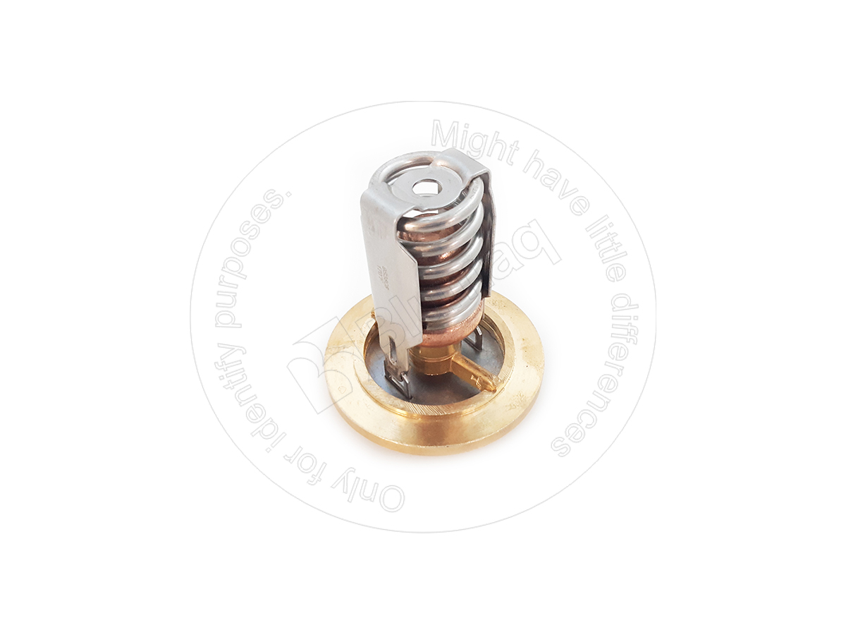 9S-3808 Thermostat for BLUMAQ