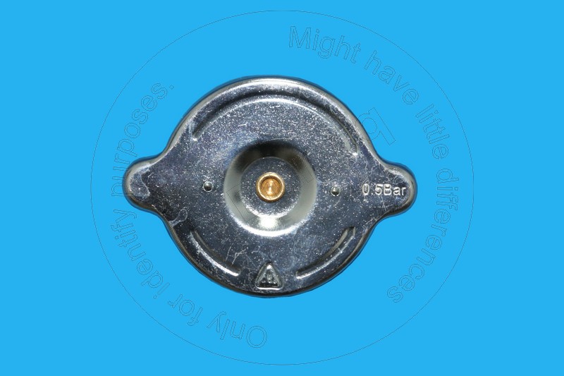 126-5027 Plug for BLUMAQ