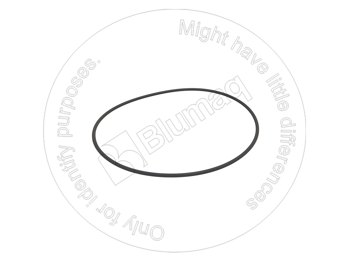 6V-1902 Seal O-ring for BLUMAQ