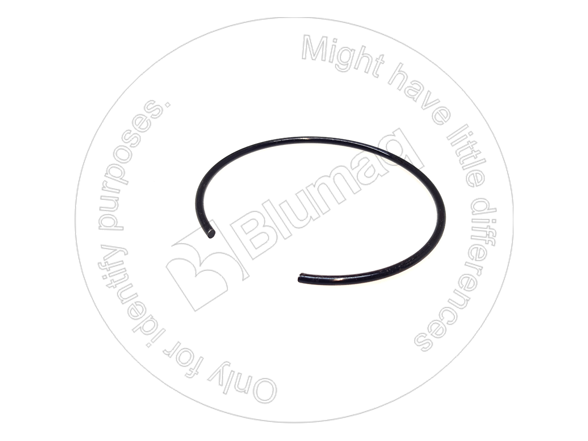 7Y-5119 Ring for BLUMAQ