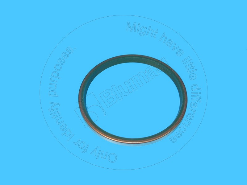 569-50-51230 Seal for BLUMAQ