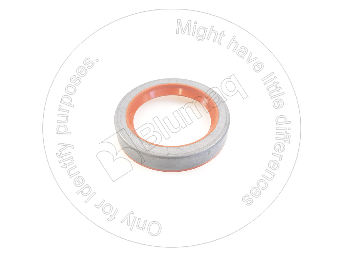 CSN8071 Seal