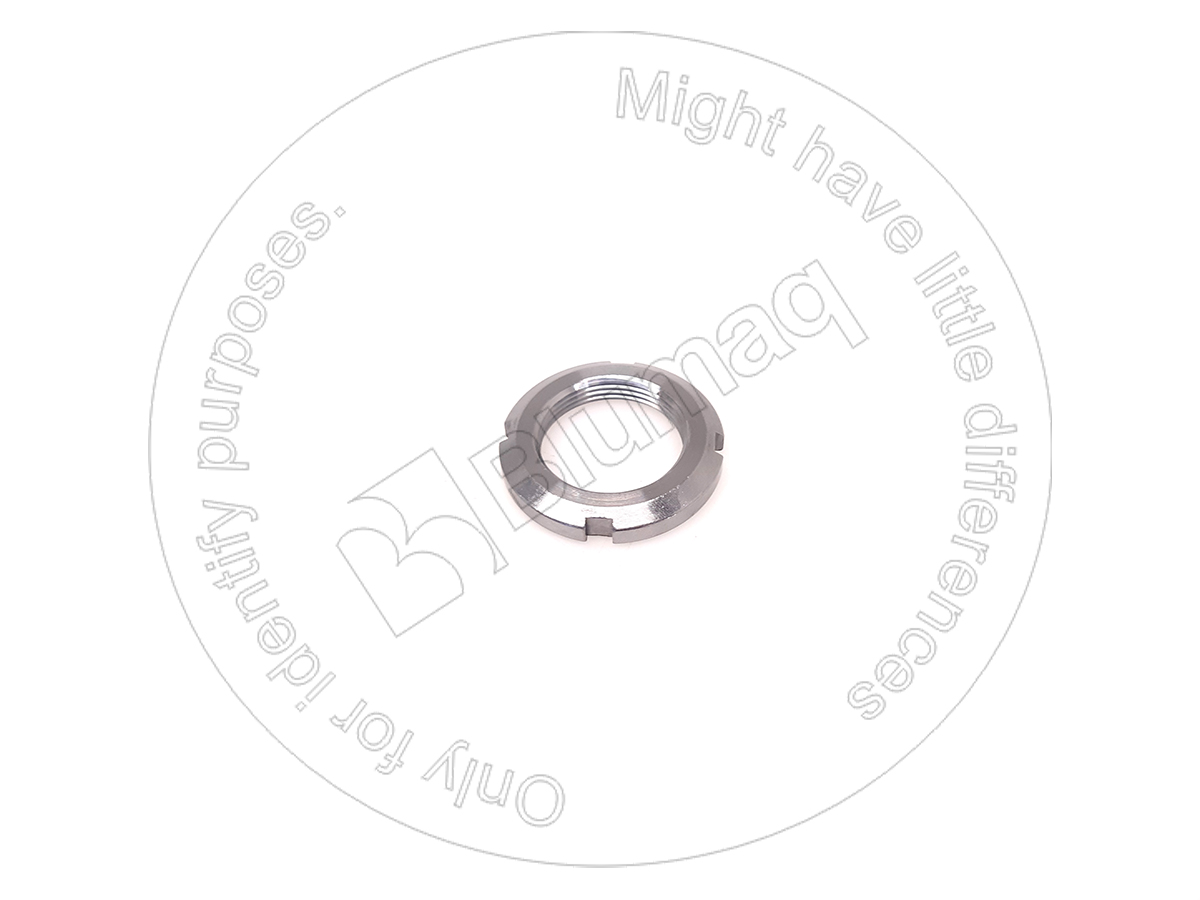 8211703310 Nut Lock for BLUMAQ