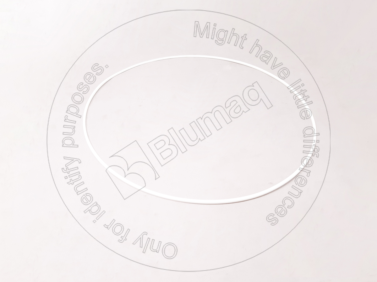 195-15-39210 Seal Ring for KOMATSU