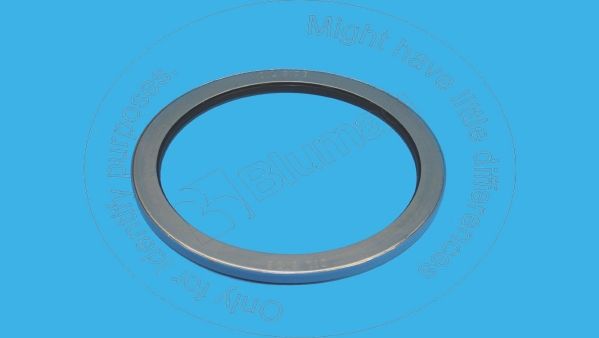 900.01600 Seal for BLUMAQ