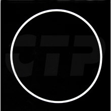 7G9224 Ring-seal