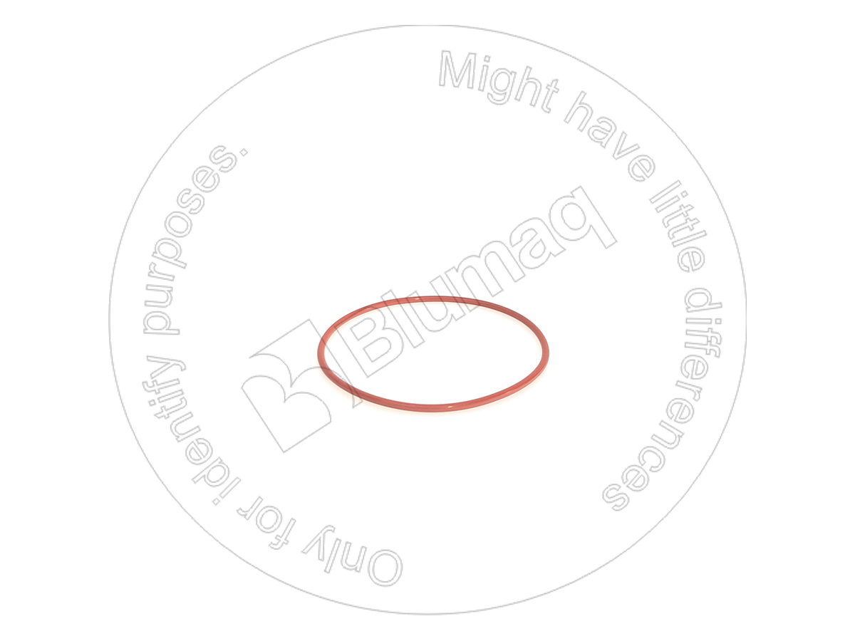 07000-65170 Seal O-ring for BLUMAQ