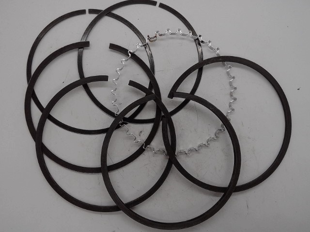 20-7100711 Ring Set for AGCO