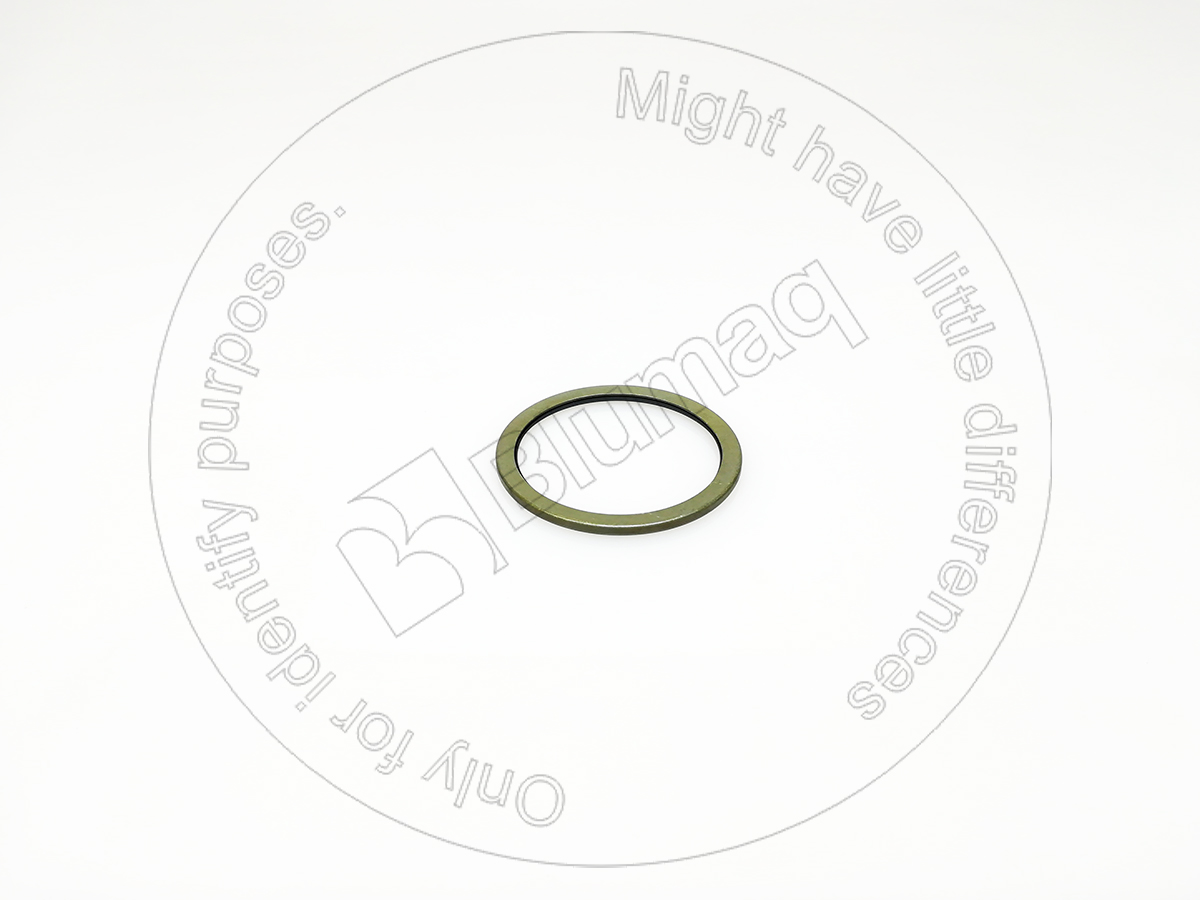 111-63-13170 Dust Seal for BLUMAQ