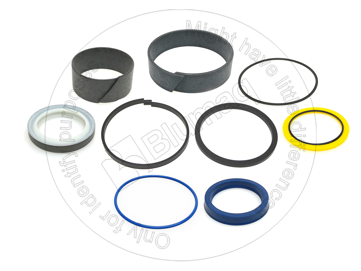 380-9482 Hydraulic Seal Kit for BLUMAQ