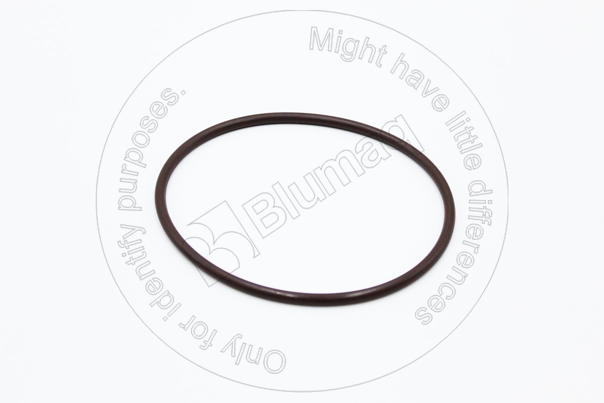 310-3954 Seal O-ring for BLUMAQ