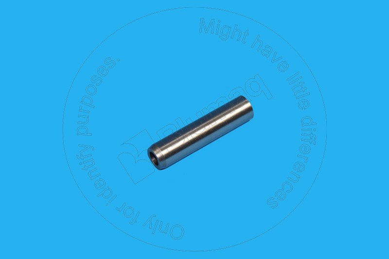 CU3904408 BLUMAQ Valve Guide