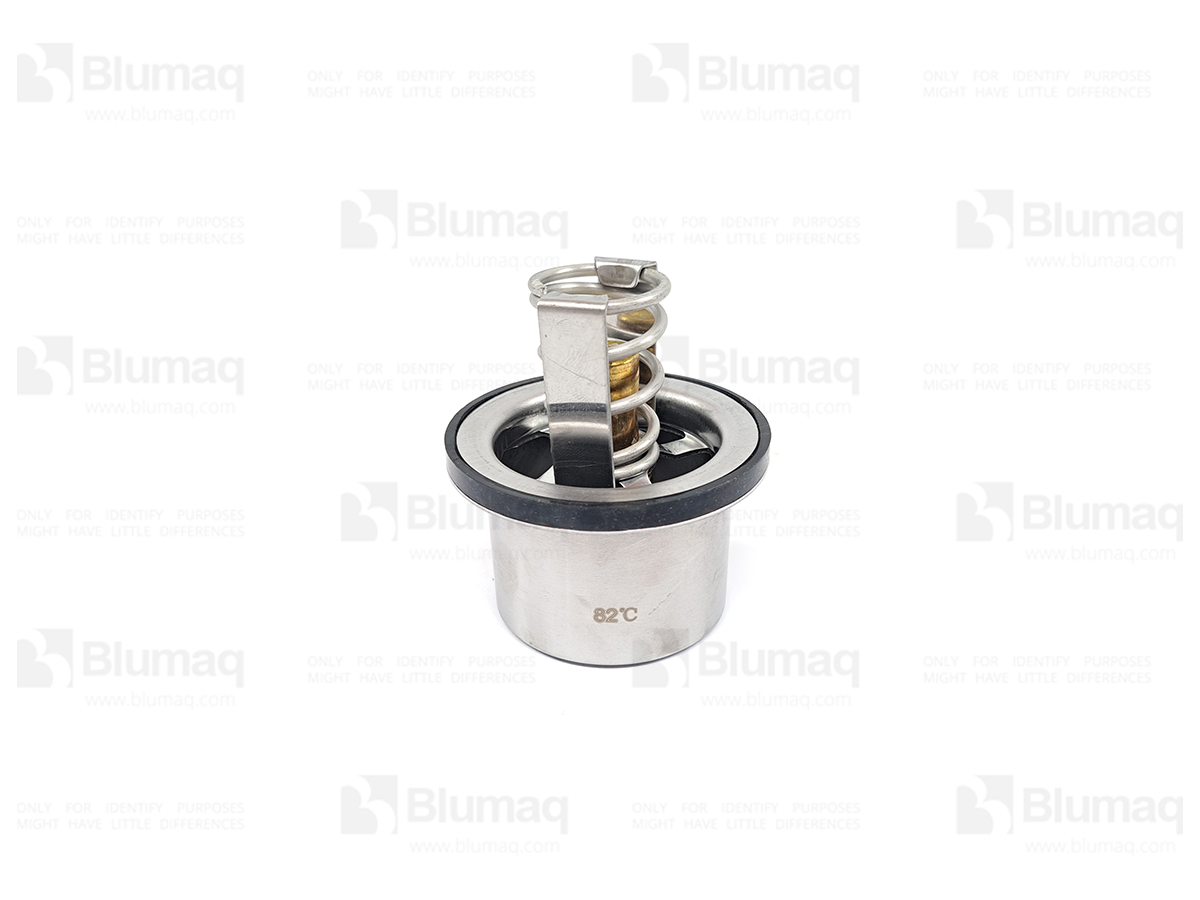 CU201737 Thermostat