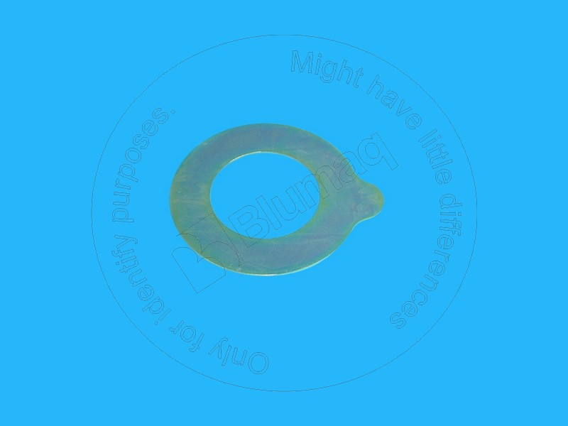 159-0269 Shim for BLUMAQ