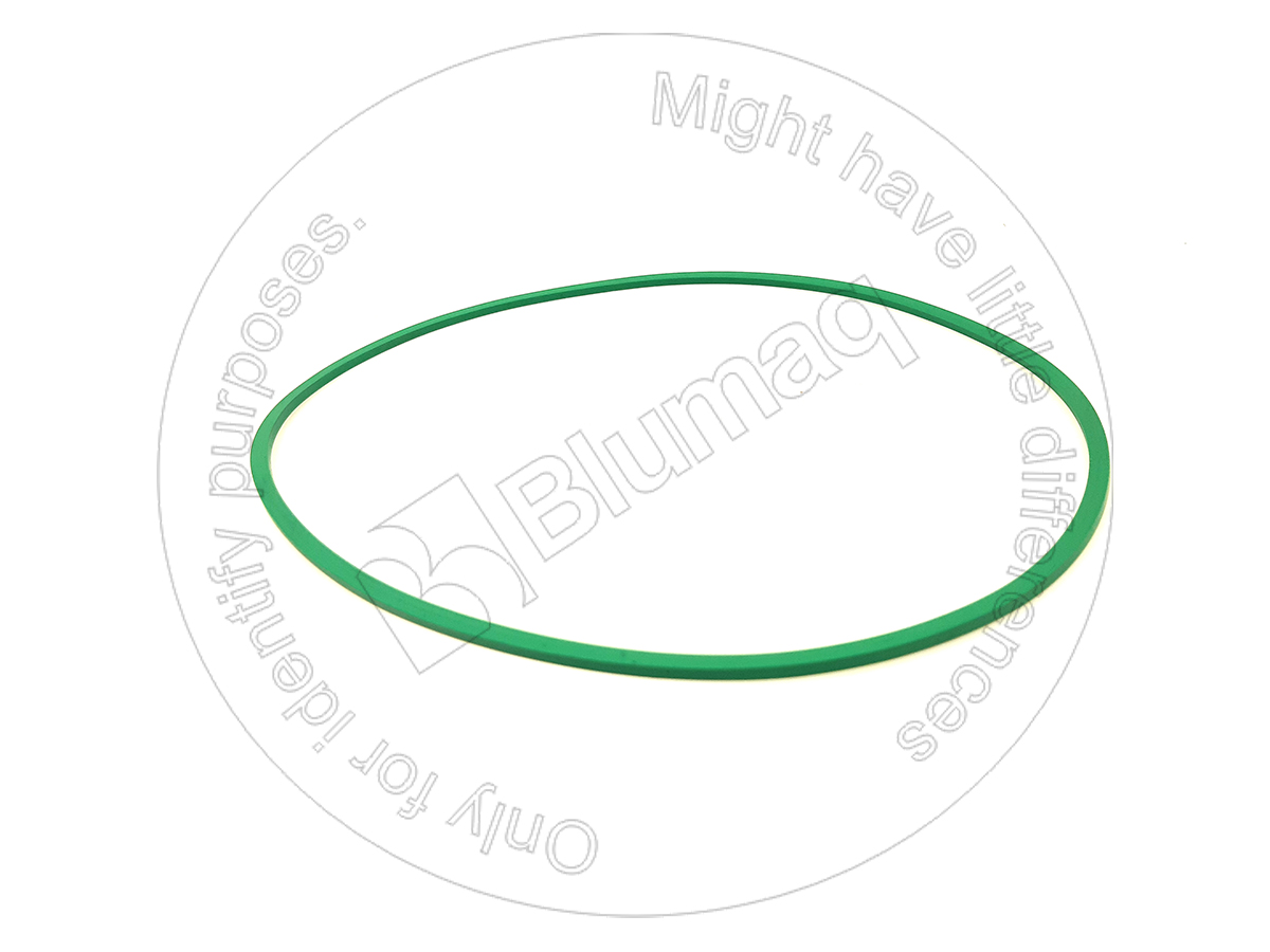 4E-0209 Seal for BLUMAQ
