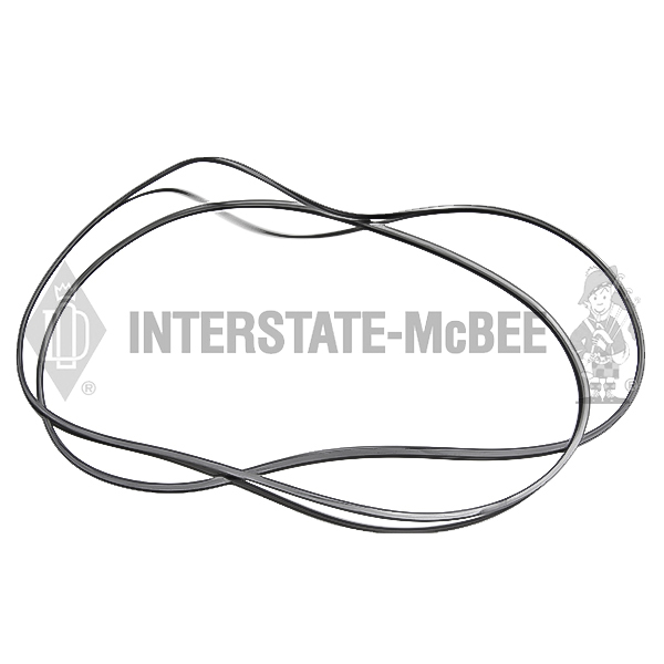A-5116293 Seal Ring