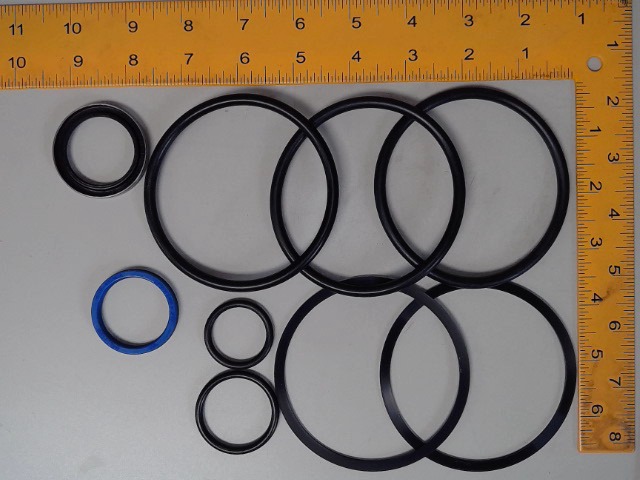 79002931 Seal Kit for AGCO