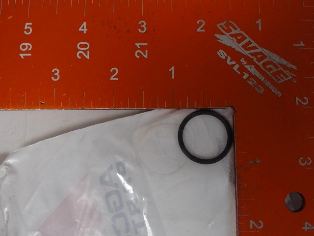 72434051 AGCO Ring