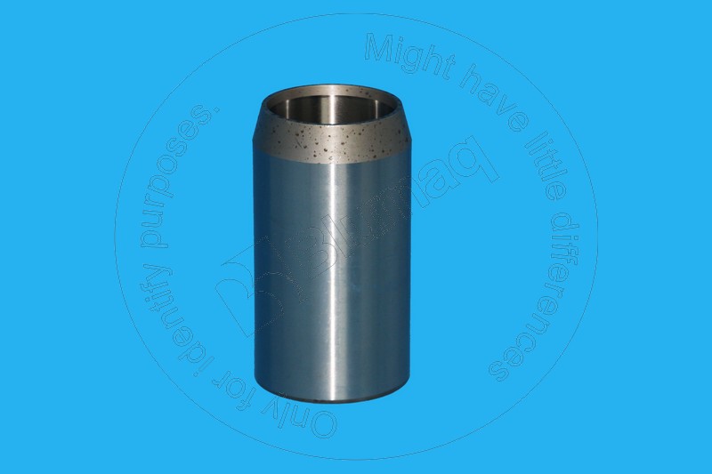 CS307186A1 Bushing