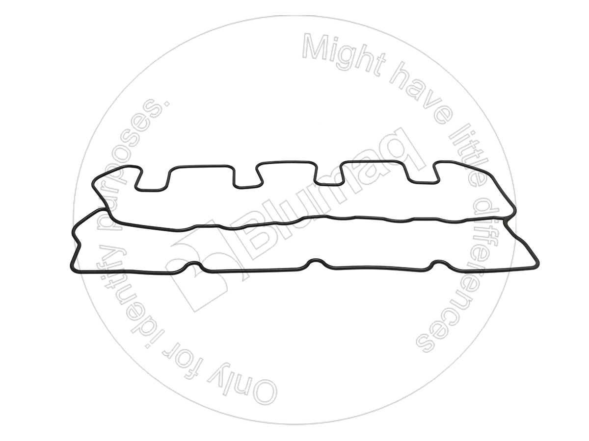 JC02/634129 Gasket for BLUMAQ