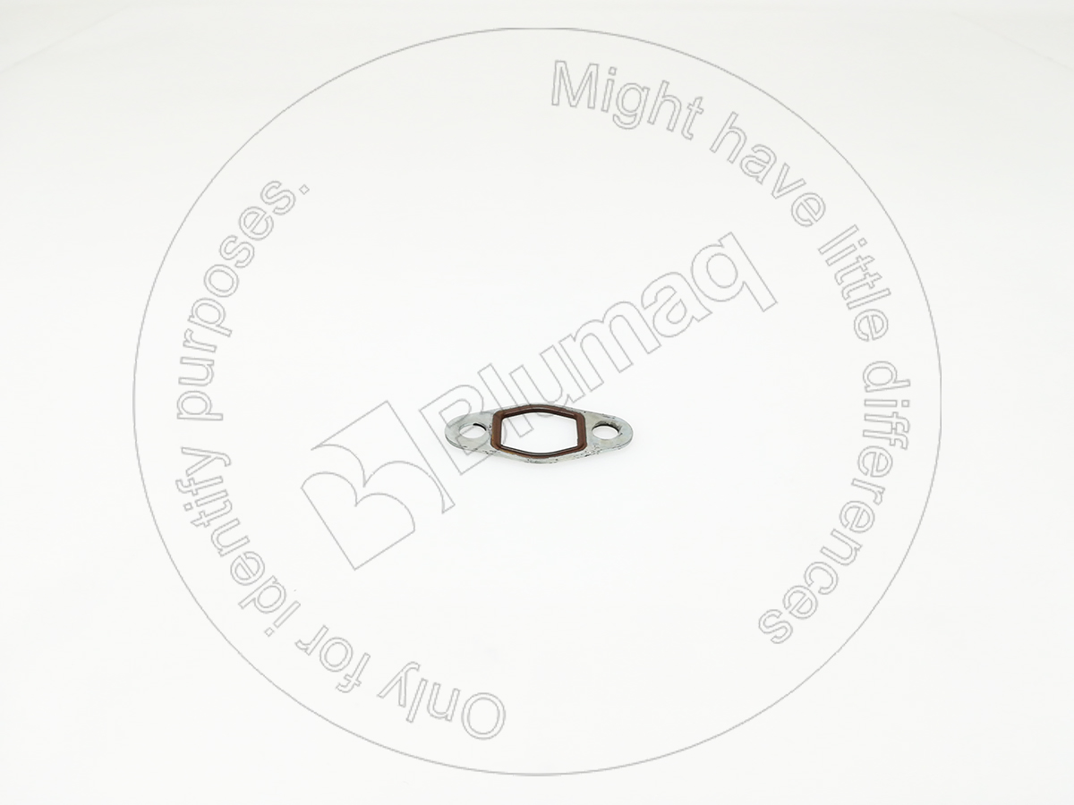 126-2702 Seal for BLUMAQ