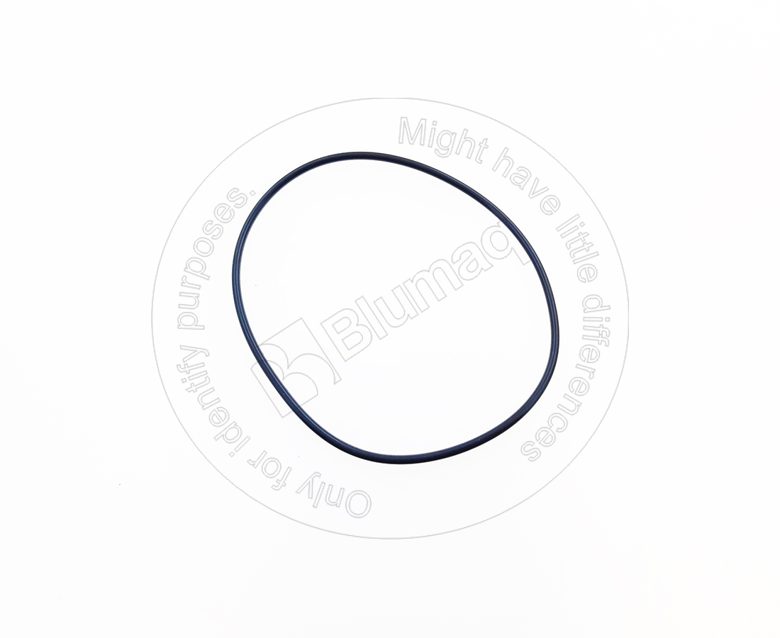 TX15269355 BLUMAQ Seal O-ring